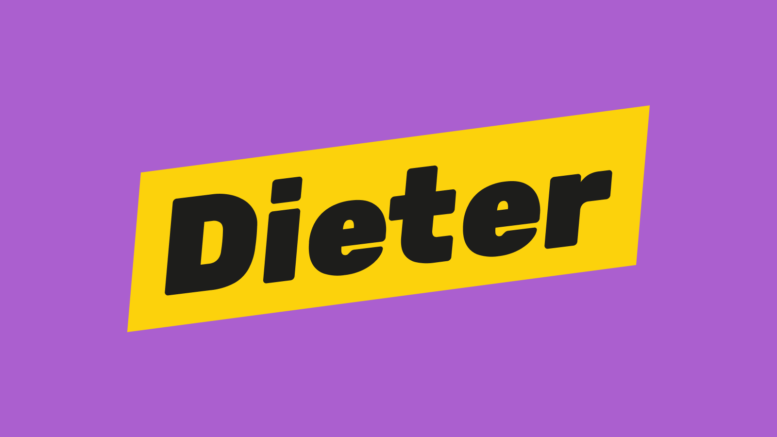 Dieter macht den Datenschutz - Organisation